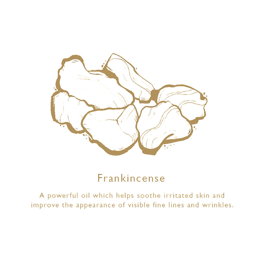 Enriching Daily Vitamin Face Oil Serum (Natural)